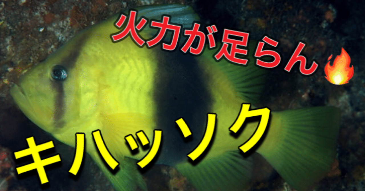 火に強く 毒もある キハッソク 釣り 山阿呆の大学生 Note