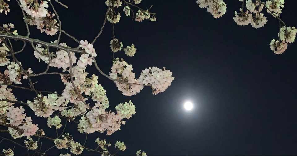 レベッカ ムーン 夜は千の目を持つ Hisataroh358 Note