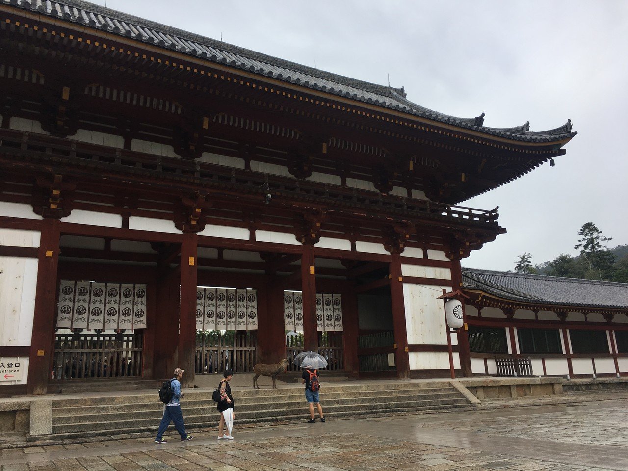 仕事を辞めて一人旅に行った話 奈良公園 大水音々 Note 仕事を辞めて一人旅に行った話 奈良公園 大水音々 Note