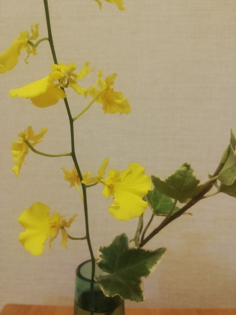 自花自賛 踊る花オンシジウム Kobo Note