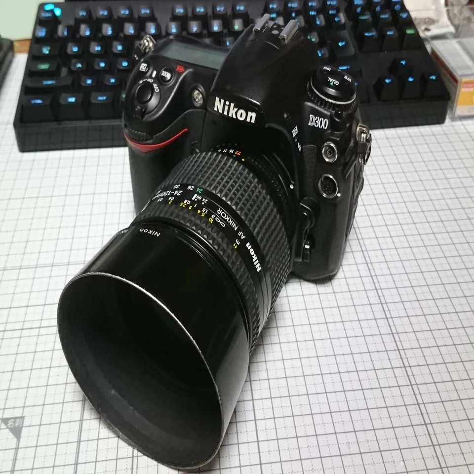 Nikon D300に買い替えた訳｜ザブ