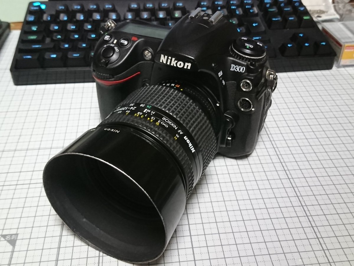 Nikon D300に買い替えた訳｜ザブ 