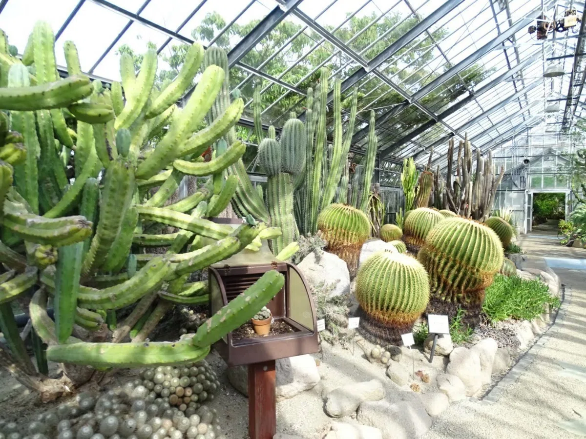 画像12