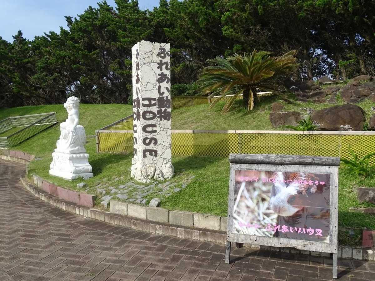 画像11