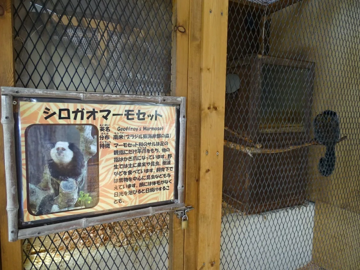 画像14