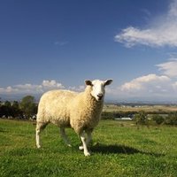 祝 復刊 キルケゴールの 反復 を読もう 宇治かばね Note