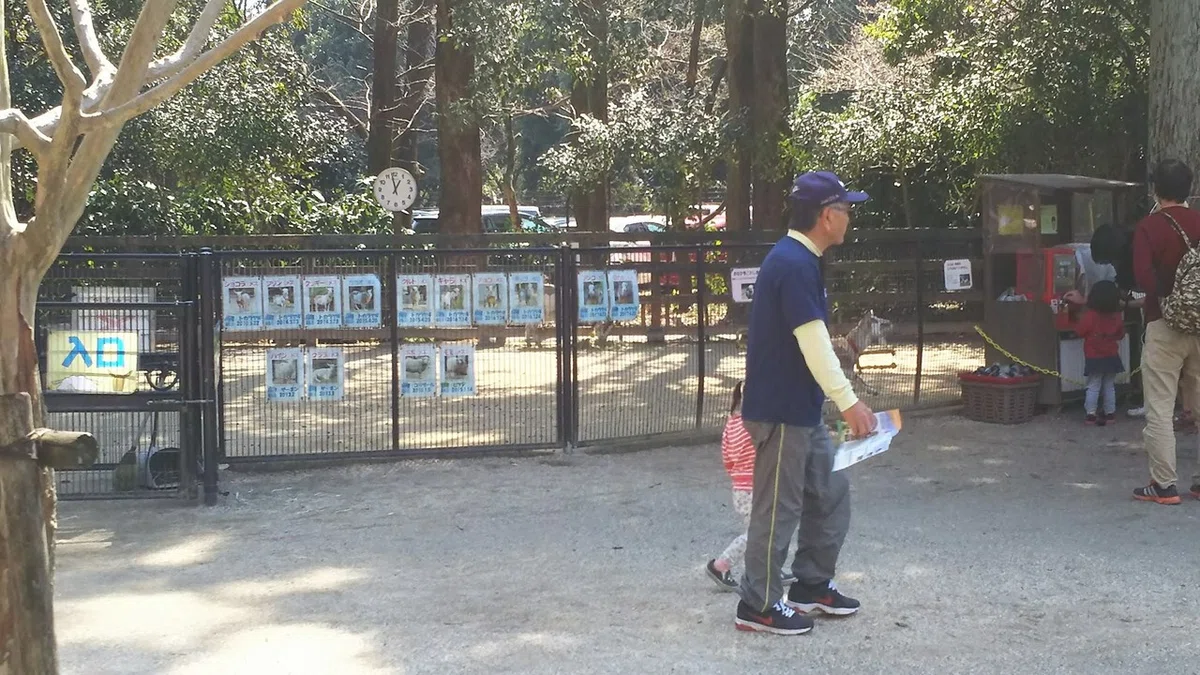 画像5