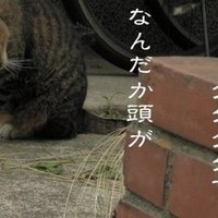 Ark Pc Steam版 セーブデータバックアップ方法 まよ Note Ark Pc Steam版 セーブデータバックアップ方法 まよ Note
