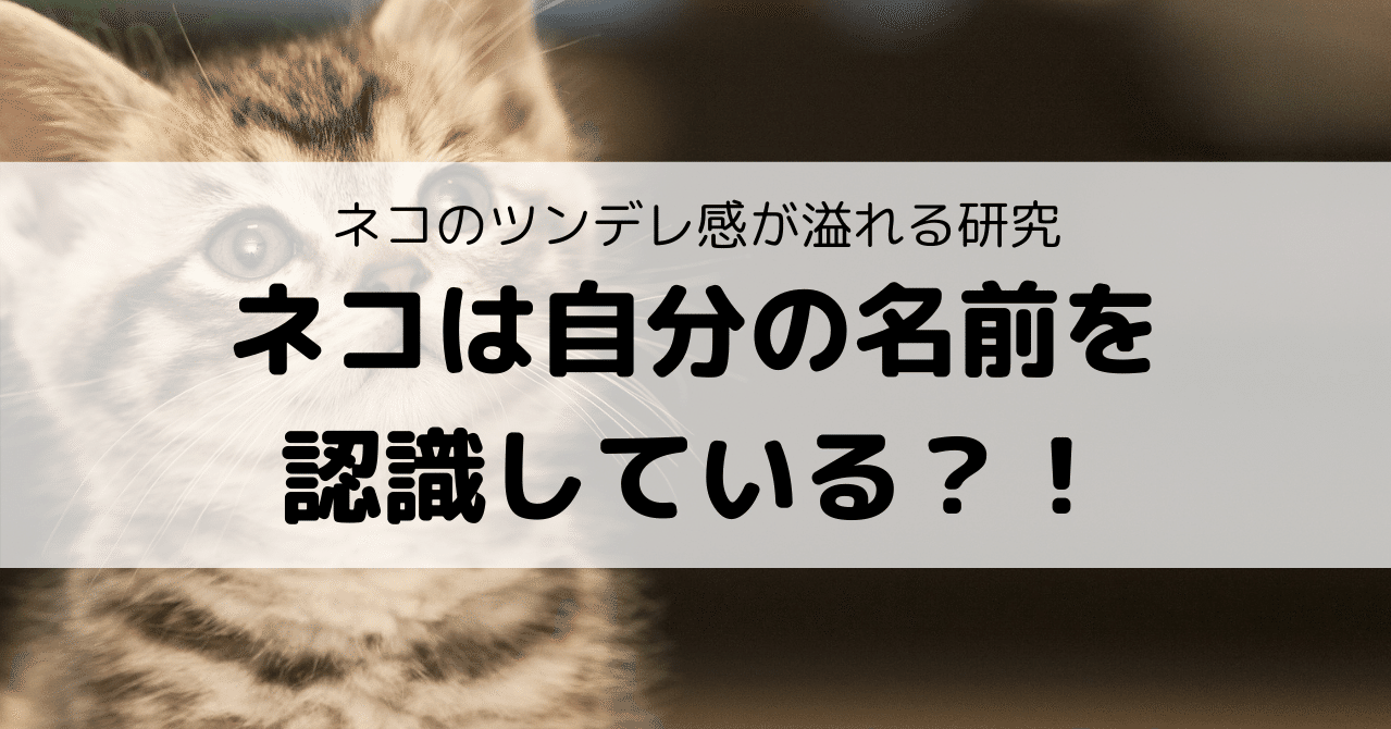 ネコは自分の名前を聞き分けられる Eiko Programming Note