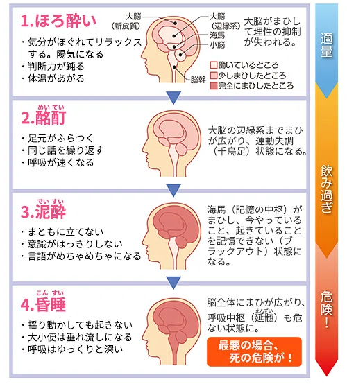 お酒をぶっ倒れるまで飲むと認知症のリスクが2倍になるという研究について ユウキのヒューマンアカデミア Note