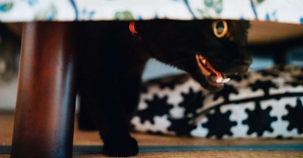 やり直し矯正に向けて Rina Matsui Note