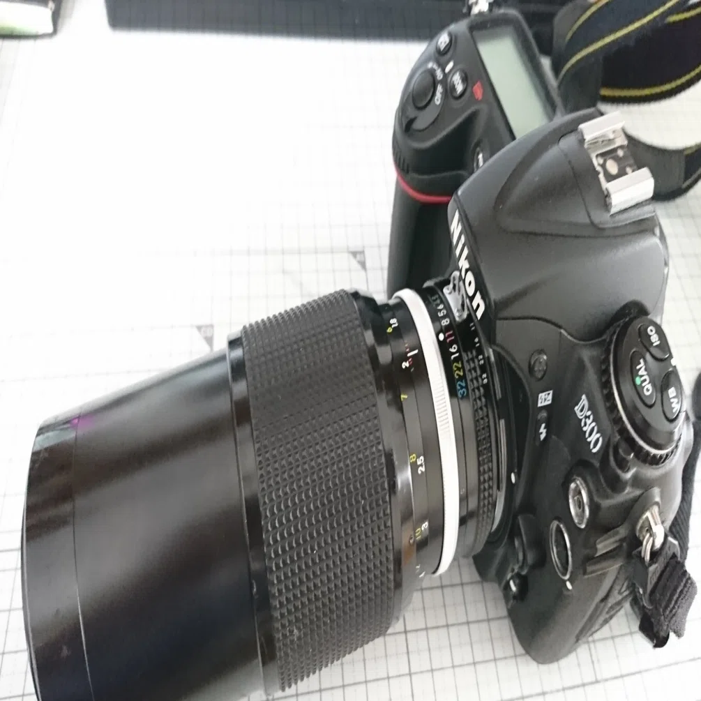 Nikon D300に買い替えた訳｜ザブ