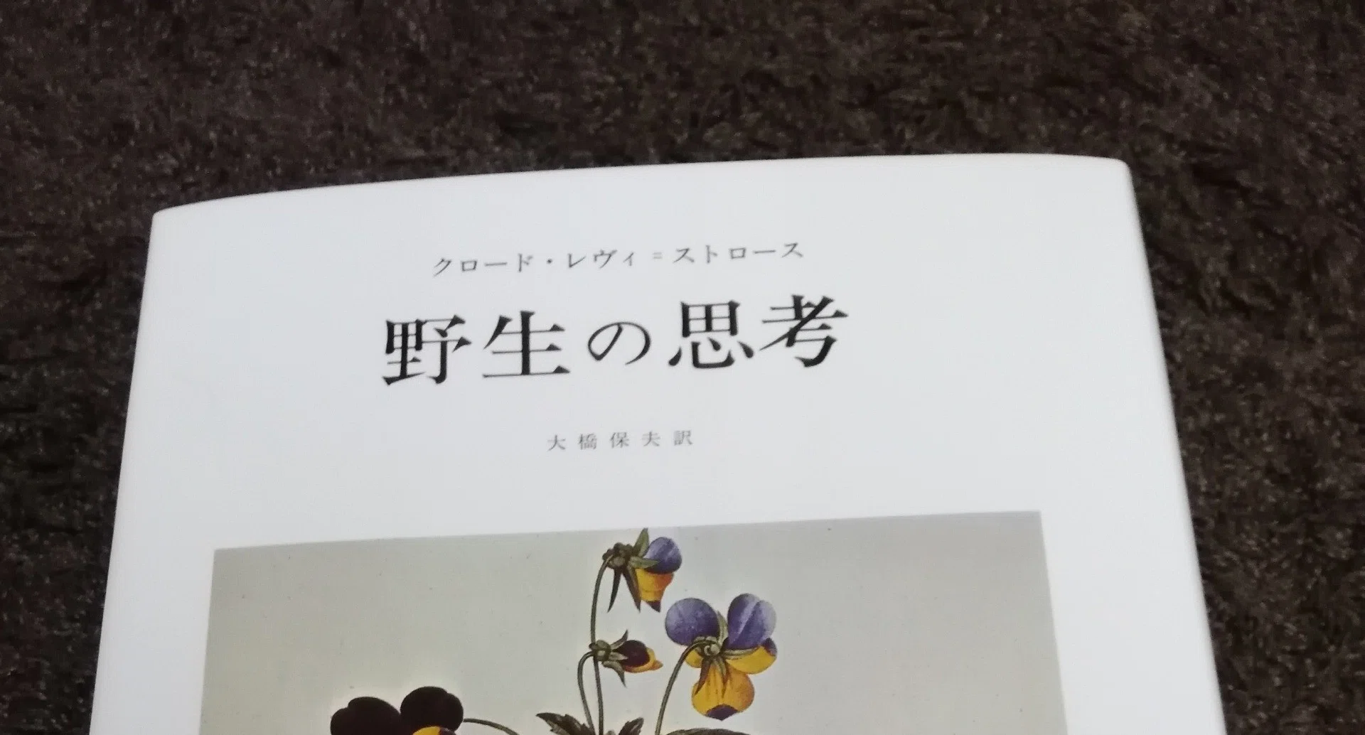 野生の思考｜なかそね｜note
