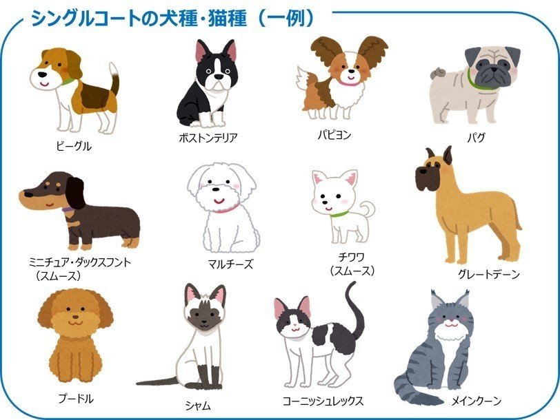 知っておきたいシングルコートとダブルコート ライオン商事 Note 知っておきたいシングルコートとダブルコート ライオン商事 Note