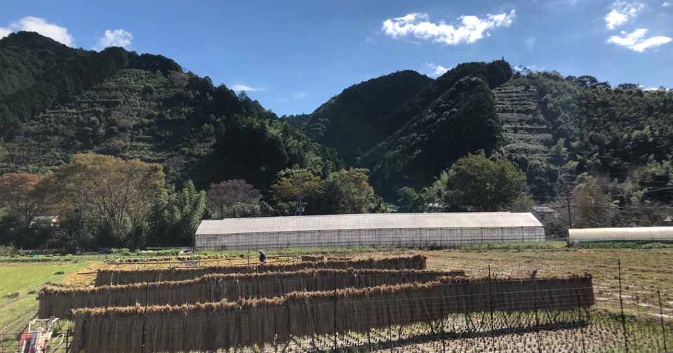 秋 ホーリーバジル アシュタンガヨガ Blublue Note