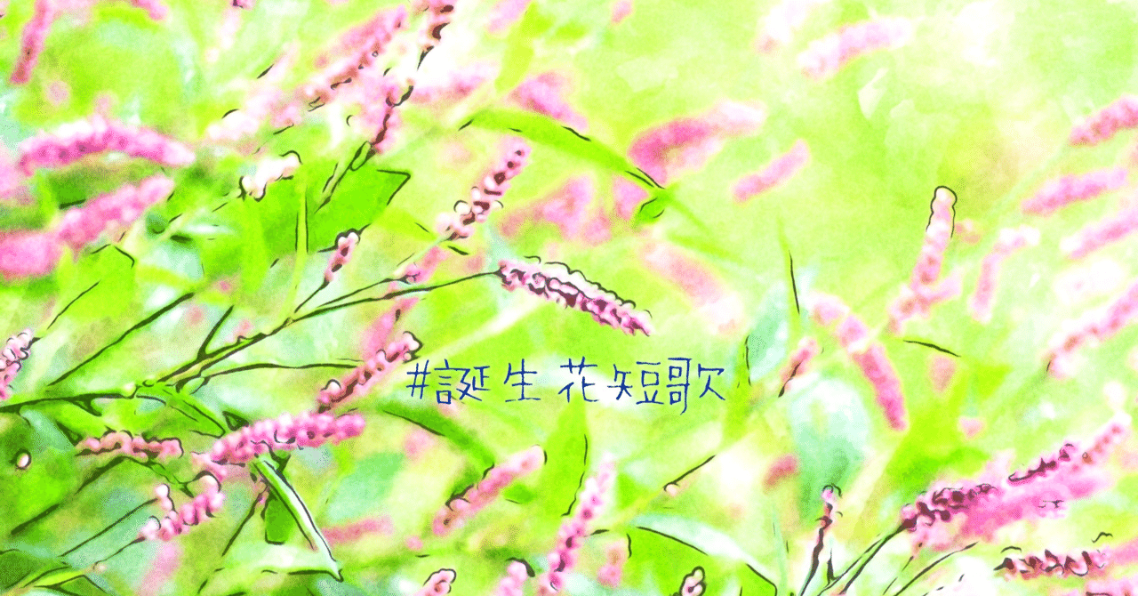 9月12日 誕生花は藍 誕生花短歌 御子柴 流歌 Note 9月12日 誕生花は藍 誕生花短歌 御子柴 流歌 Note