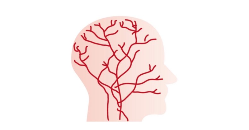 頭皮の血行と抜け毛の関係性 ふくだだいすけ Note