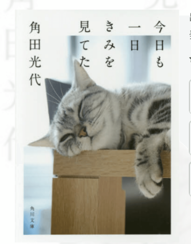 毎日note236日目 お気に入りの猫の本 さゆ Note 毎日note236日目 お気に入りの猫の本 さゆ Note