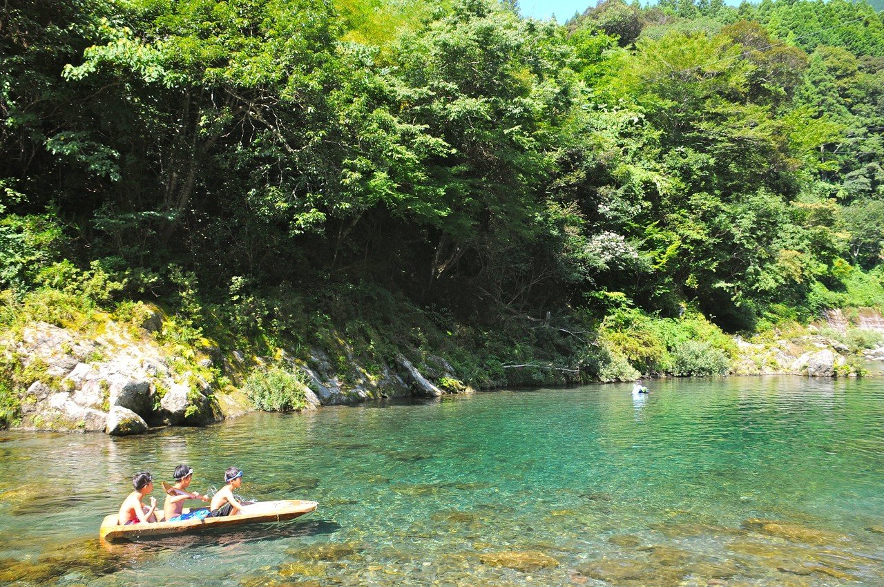 本山町には『清流汗見川』で育つ赤しそがある。|Kochi Campagne 本山町には『清流汗見川』で育つ赤しそがある。|Kochi Campagne
