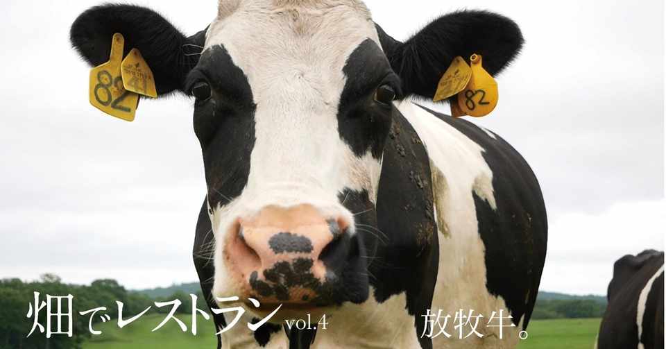 牛が牛らしく生きてこそ 足寄のありがとう牧場で感じた人間と牛の関係と どんな食材も持ち込みok 野菜本来の おいしい を目指す黒滝シェフの話 コープさっぽろの広報誌 Cho Co Tto ちょこっと