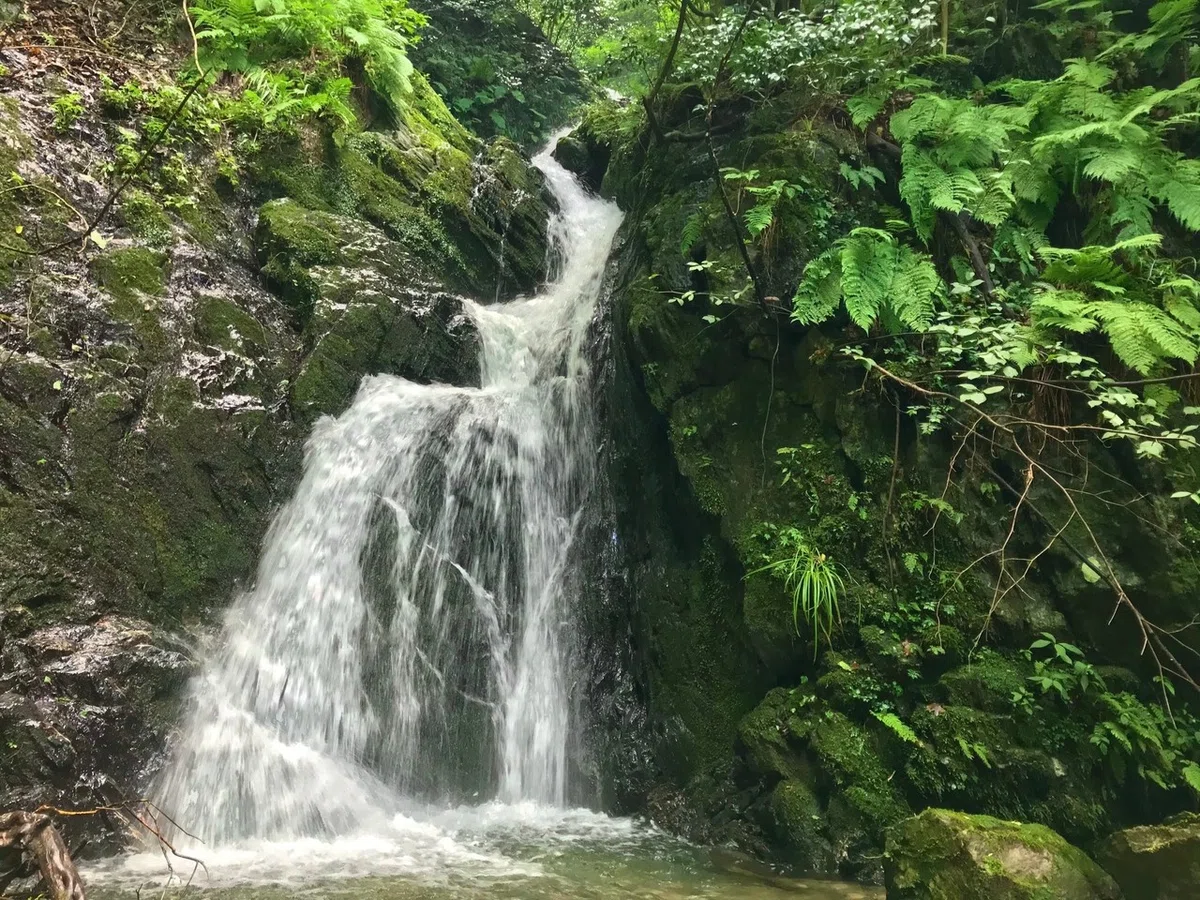 画像7