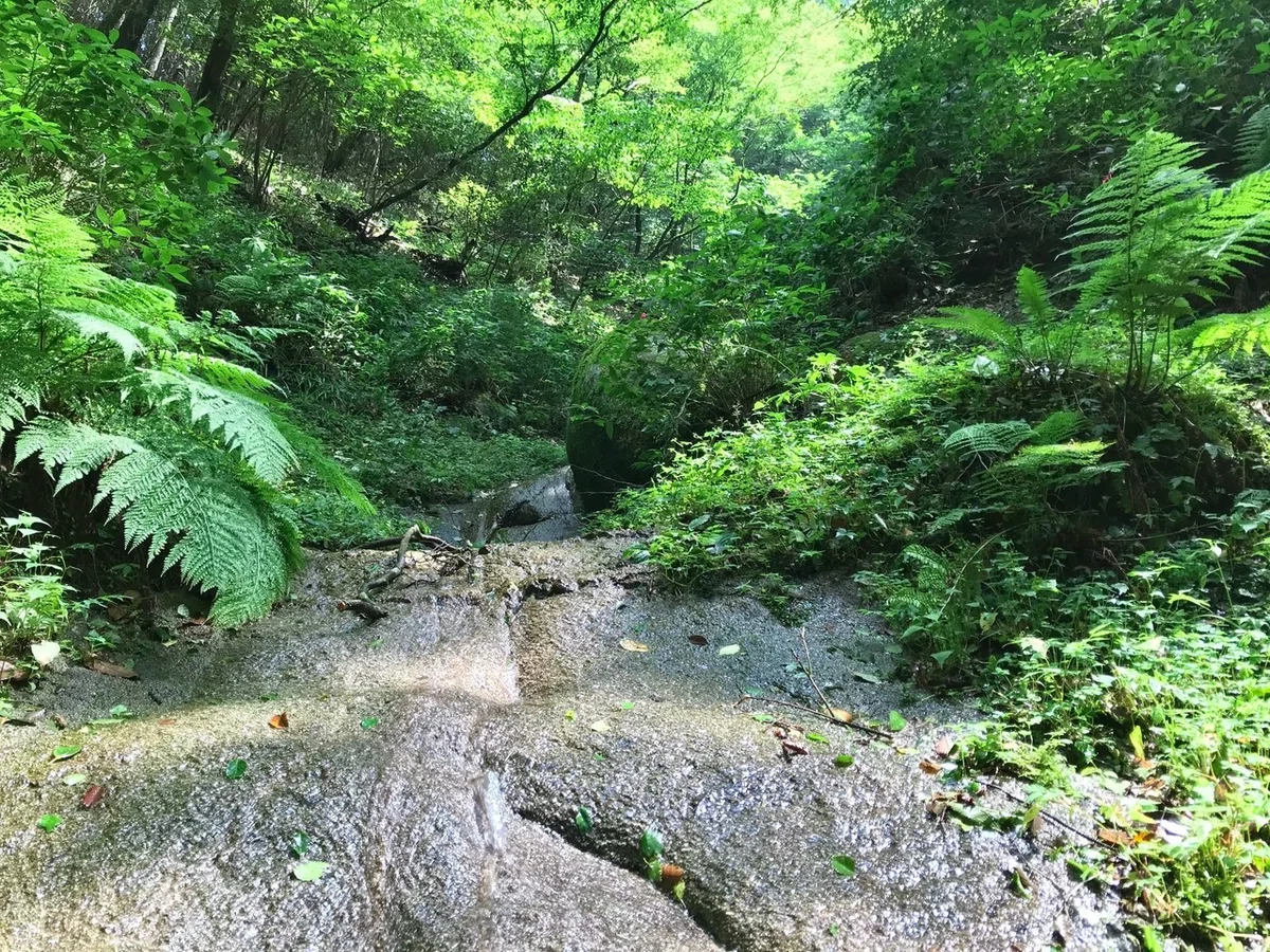 画像10