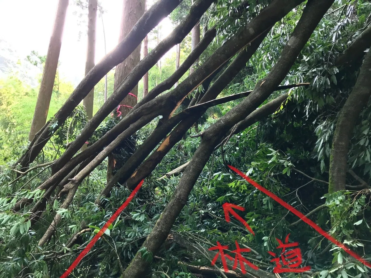 画像14