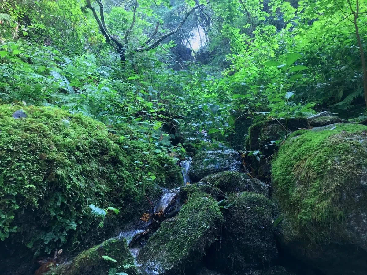 画像14