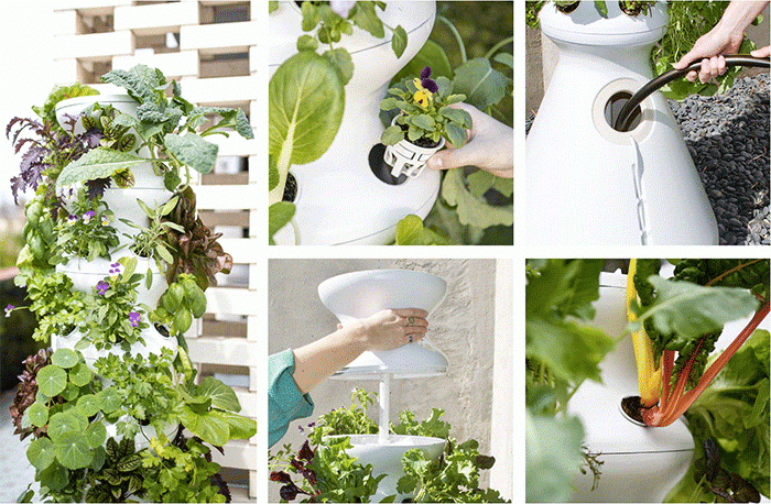 アメリカ発 自動育成ファームスタンドのlettusgrowとは Kaito Kimura Note