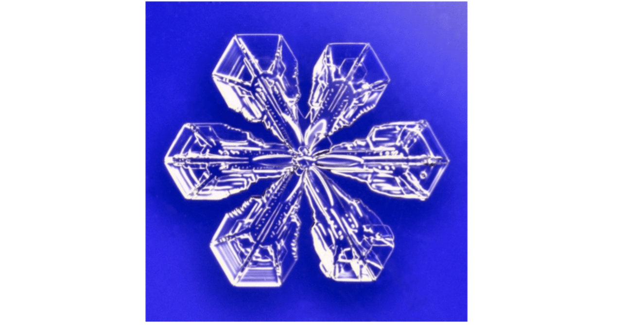 雪の結晶撮影|sgk|note