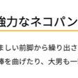 231 1 2の ポカン はまず無理 ポケモンではない私たちの忘れ方 覚え方 R Hatano フランス在住の大学院生 Note
