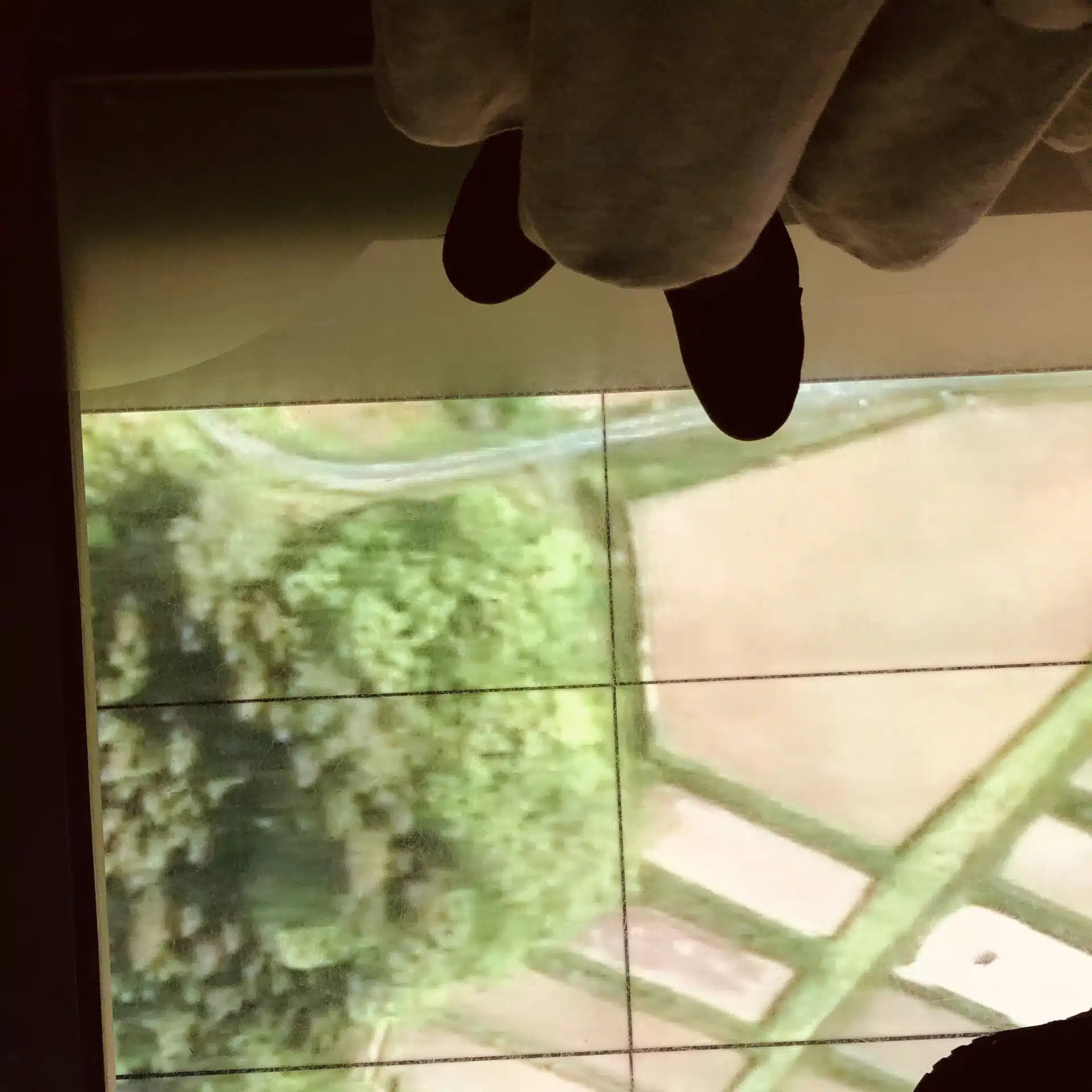nesa22zze＠個事業5期 /ECSNSローカル マーケ /コンテ企画・制作/プチ二拠点/