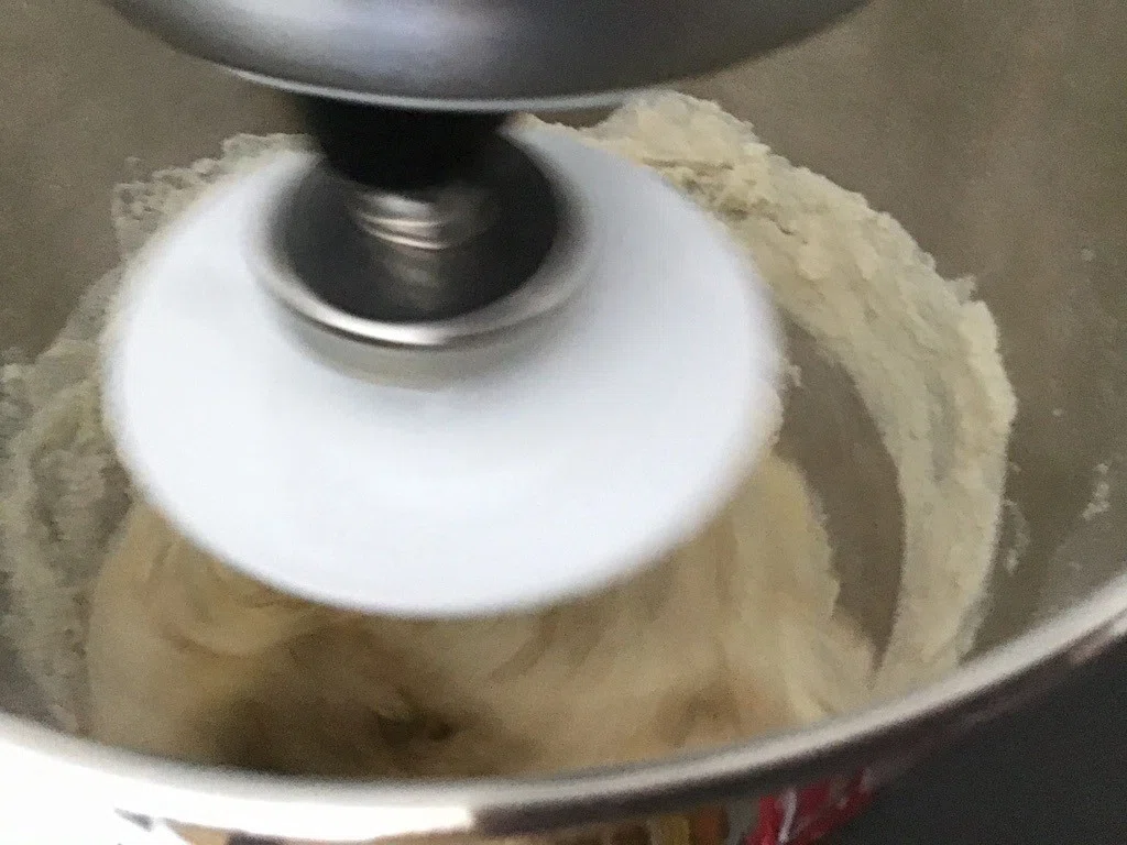 画像8