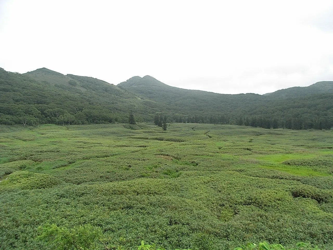画像21