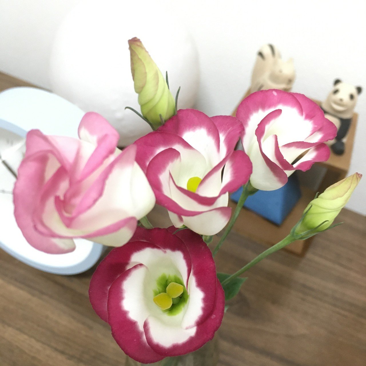 花言葉 みけ Note