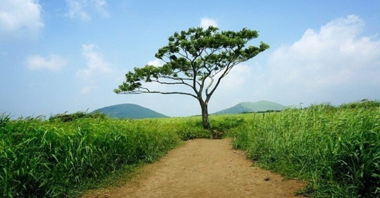 韓国語を勉強して私に起きたこと 人生の楽しみが倍に ぽぽろん Note 韓国語を勉強して私に起きたこと 人生の楽しみが倍に ぽぽろん Note