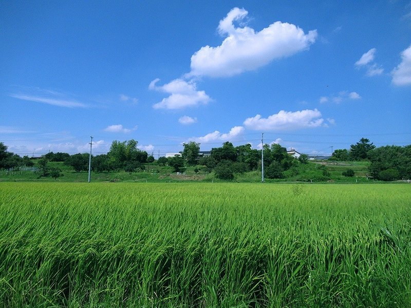 3刈谷市重原本町5丁目