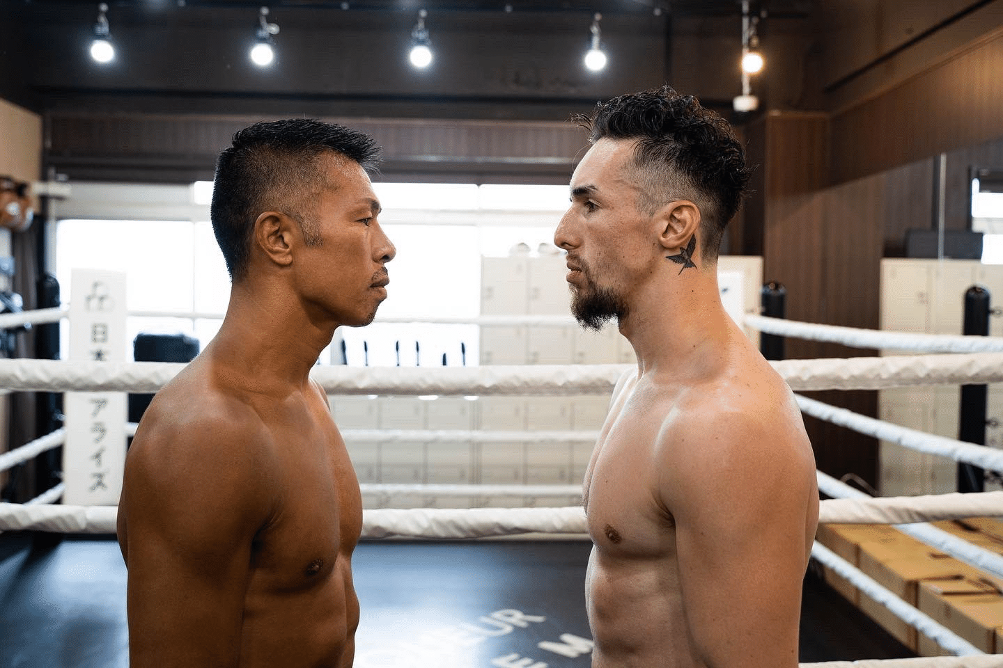 なぜ外国人選手は同階級であってもアジア人よりデカいのか ー短足 大根脚 体重バランス O脚などの問題を添えて 殴り書きじぃさん Note