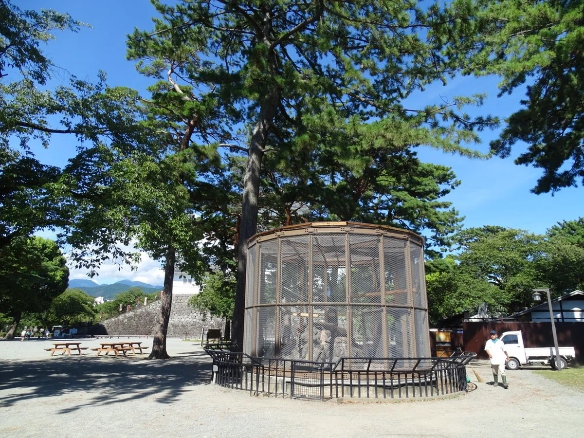 画像2