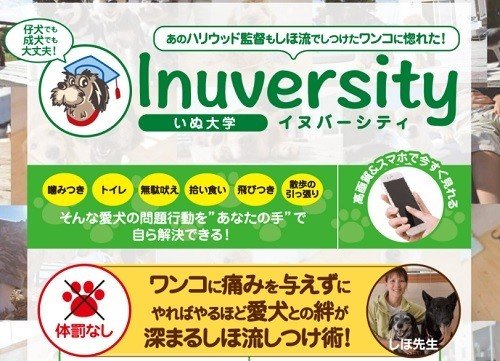 イヌバーシティという教材を主婦が買ってみたリアルな感想 評判 口コミ うちのワンコが世界一可愛い Note