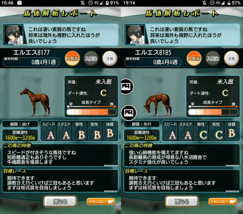 母父父オペラハウス剛健 クリスエス〆 実践編 罷業牧場 ダビマス Note