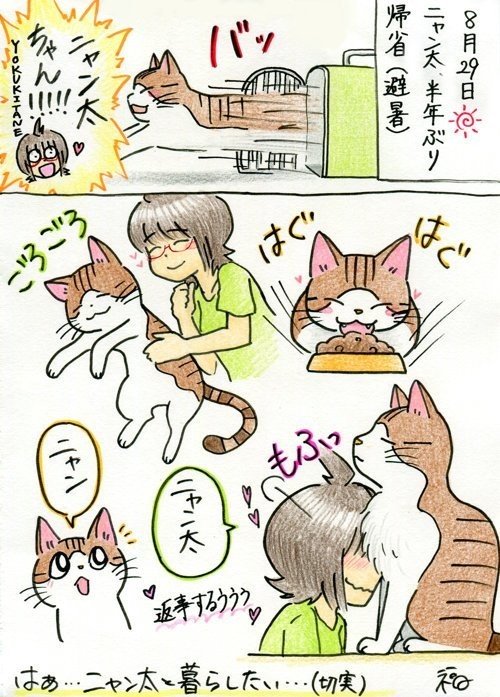 ニャン太 半年ぶりの帰省 福 Note ニャン太 半年ぶりの帰省 福 Note