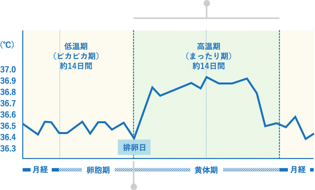 妊活 不妊治療には 焦る 気持ちが大切だった ゆうか Note 妊活 不妊治療には 焦る 気持ちが大切だった ゆうか Note