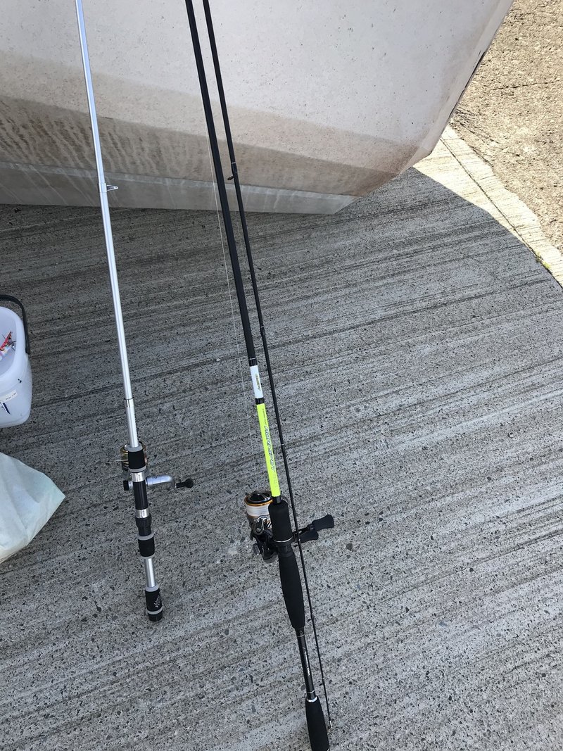 サビキ釣りと背後の気配 釣果日記 Reikou Note