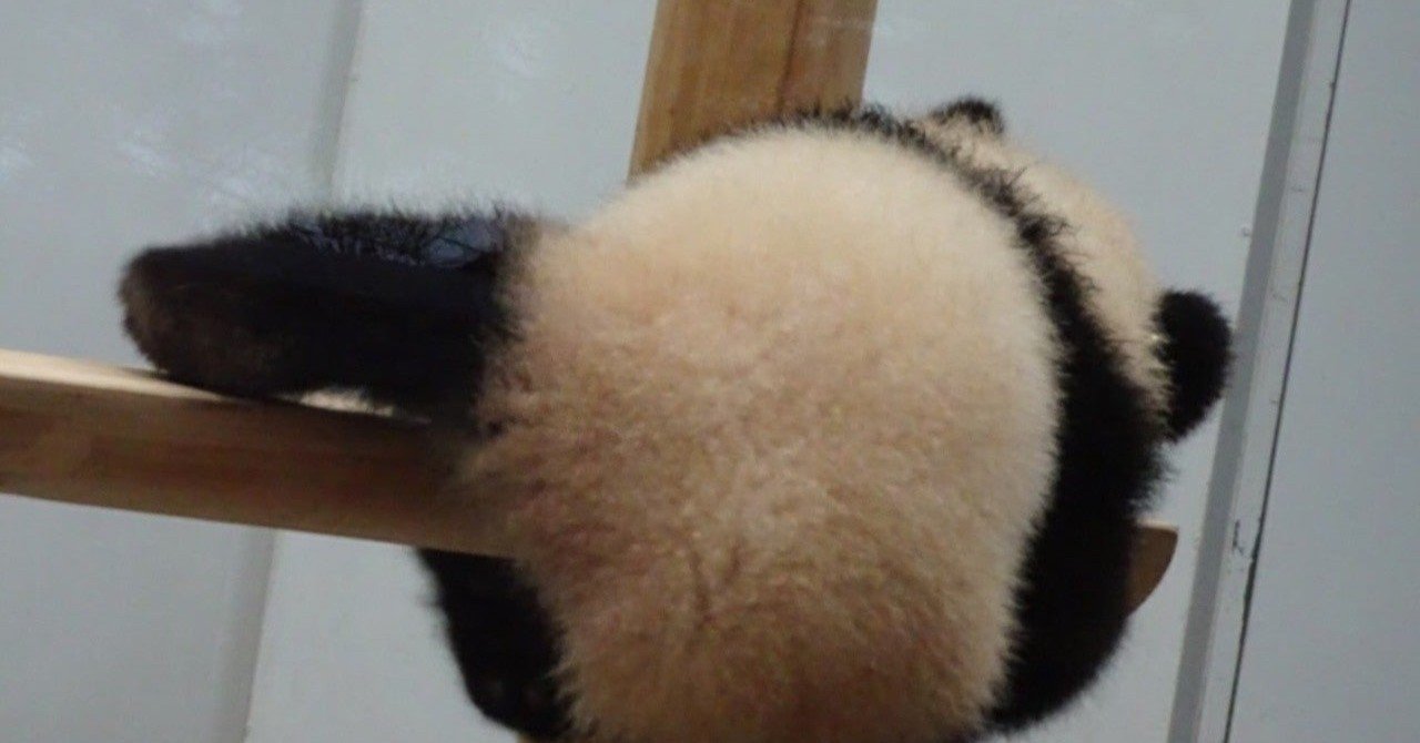 君はエゴを失っていないか Nb Note