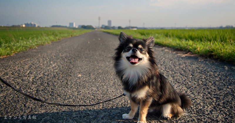 嫌いな人や苦手な人に打ち負かされない方法 エナエナ 婚活ヨガteacher Note