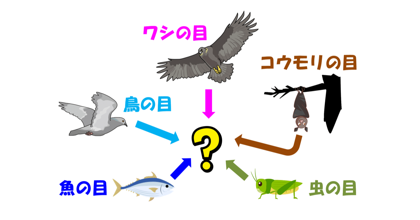 本質や真実にたどり着くための５つの視点 鳥の目 虫の目 魚の目 コウモリの目 ワシの目 小宮信夫 Note