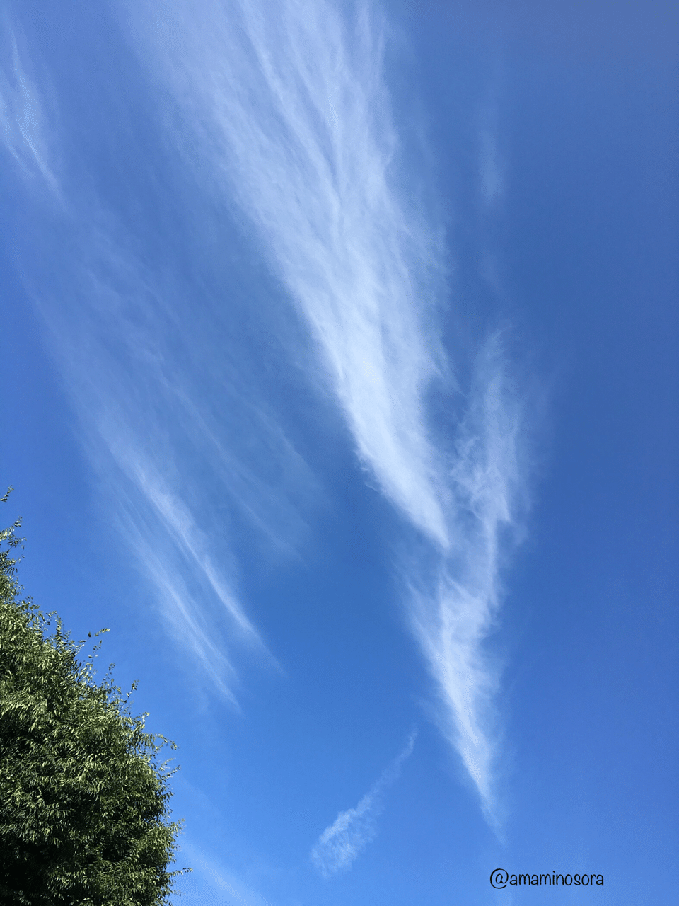 雲部 Vol ヘッセが熱く語る雲 あまみのそら Note 雲部 Vol ヘッセが熱く語る雲 あまみのそら Note