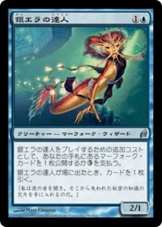 mtg　モダン　マーフォーク　デッキ　パーツ mtg モダン マーフォーク デッキ パーツ