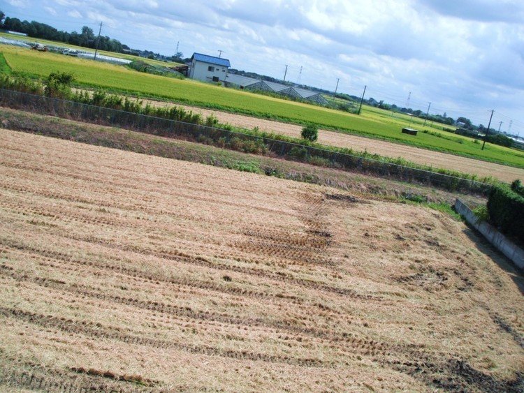 昨日、家の前の田んぼが稲刈りした。 そのせいか今日は風が涼しくない。 蒸散による気化熱の影響は少なくない。